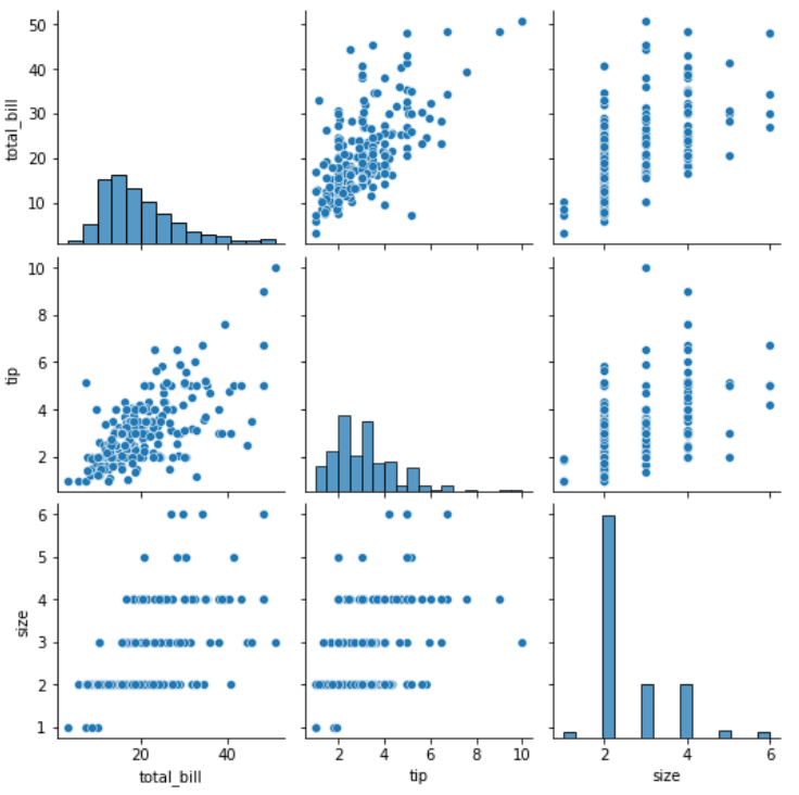 sns.pairplot(df)